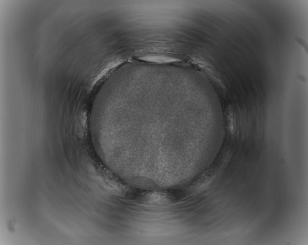 X0000099930308200806061500