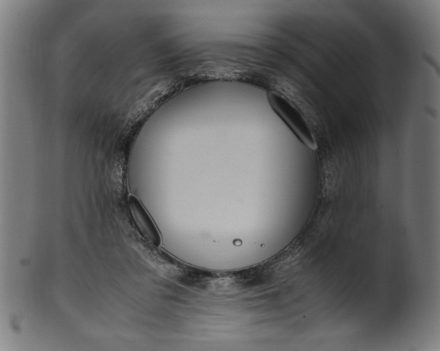 X0000099930309200806061500