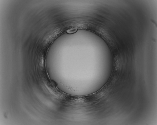 X0000099930310200806061500