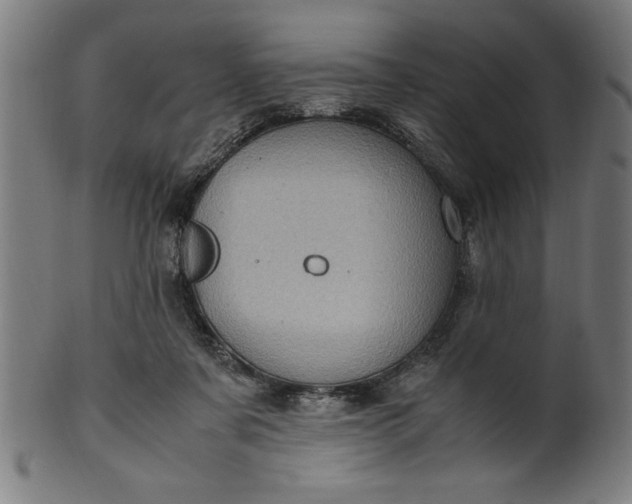 X0000099930311200806061500