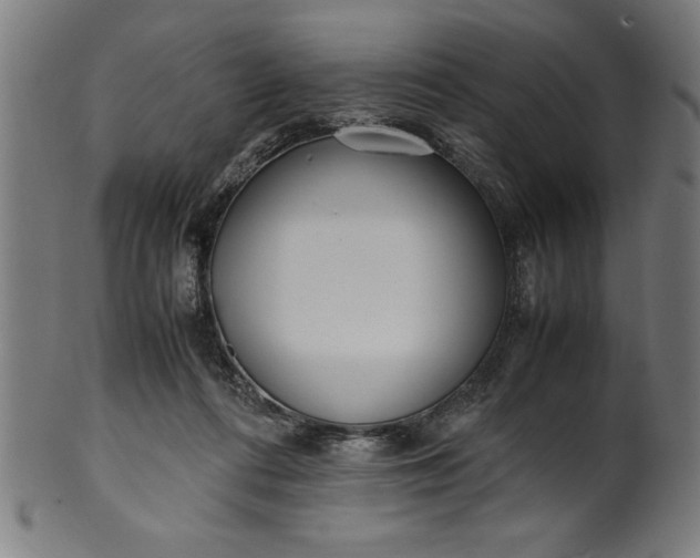 X0000099930312200806061500