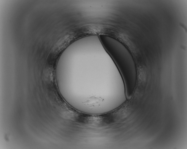 X0000099930313200806061500