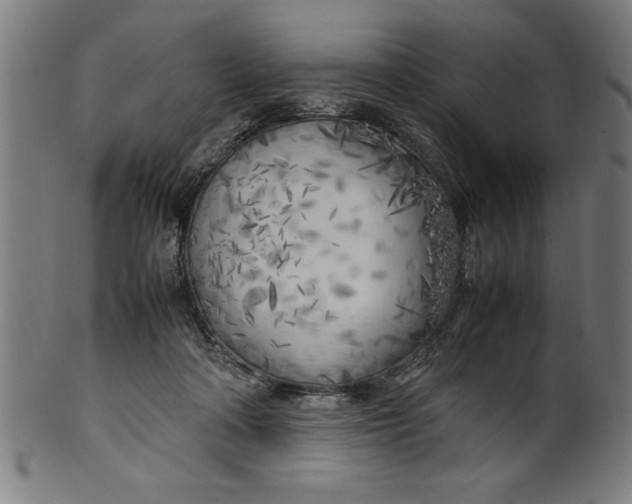 X0000099930314200806061500