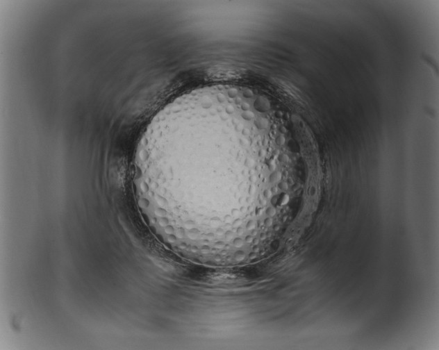 X0000099930315200806061500