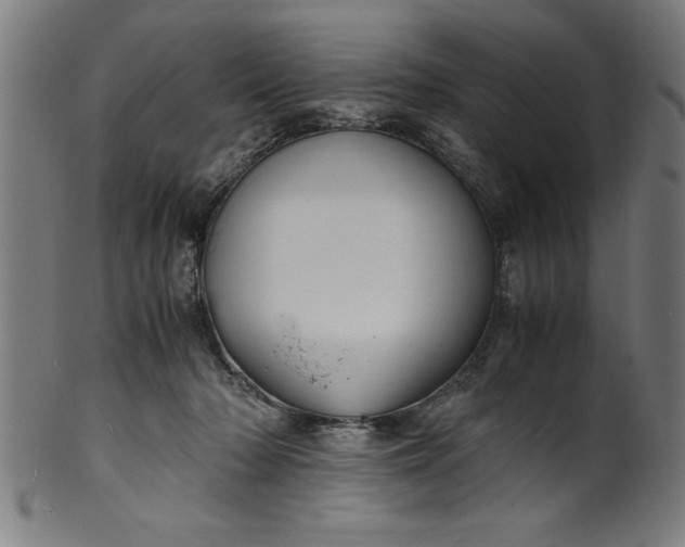 X0000099930318200806061500