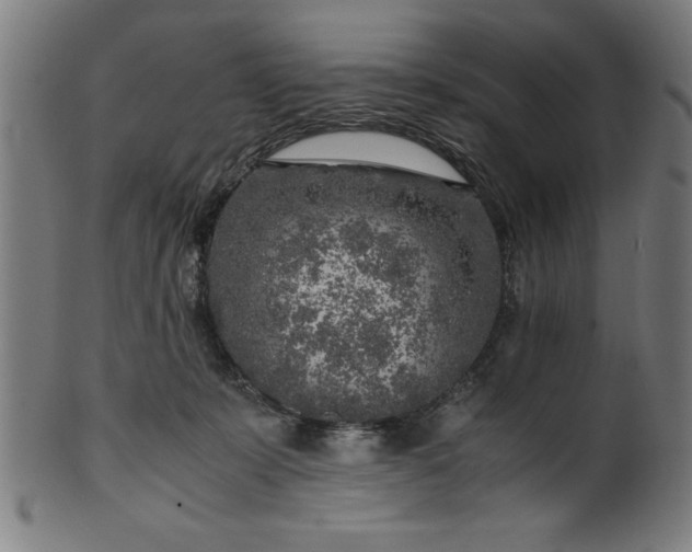 X0000099930319200806061500