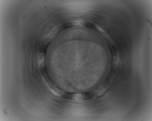 X0000099930320200806061500