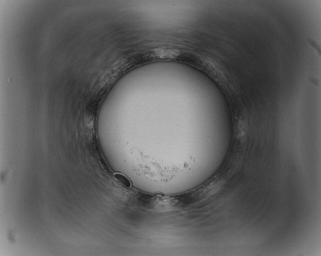 X0000099930321200806061500