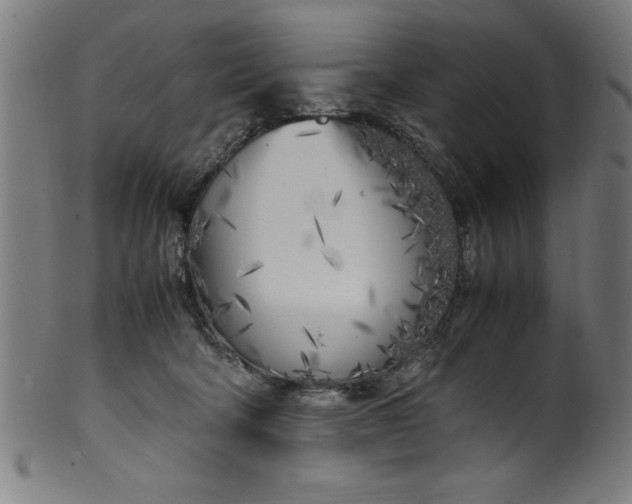 X0000099930322200806061500