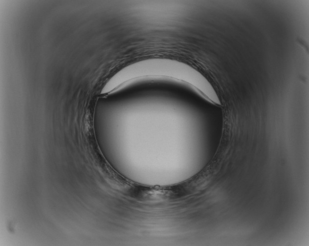 X0000099930323200806061500