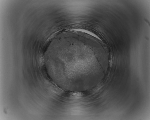 X0000099930324200806061500