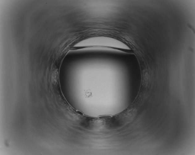 X0000099930325200806061500