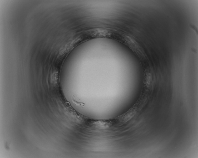 X0000099930326200806061500