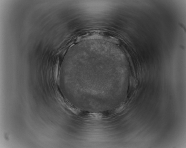 X0000099930328200806061500