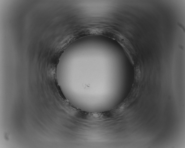 X0000099930329200806061500