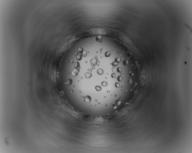 X0000099930330200806061500