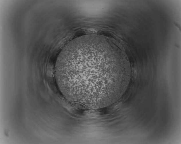 X0000099930331200806061500