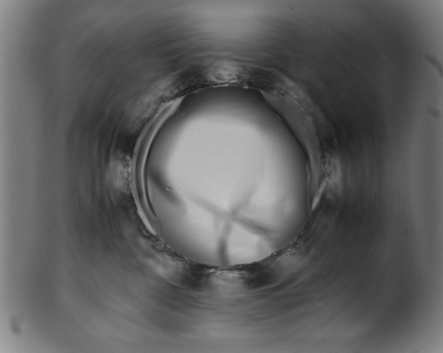 X0000099930332200806061500