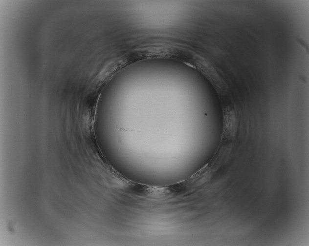 X0000099930333200806061500