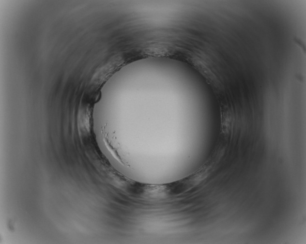 X0000099930334200806061500