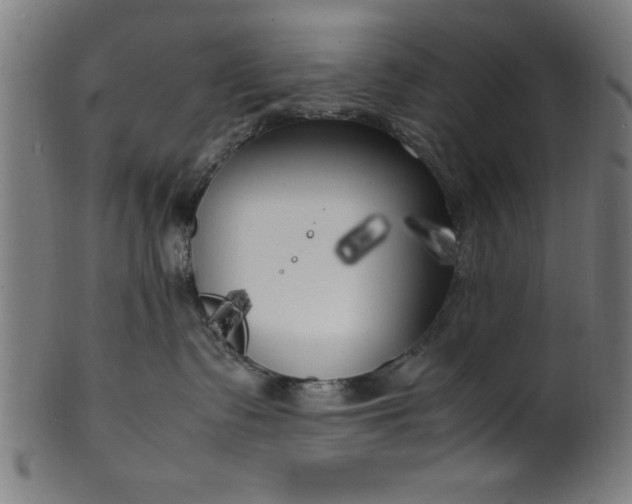 X0000099930335200806061500