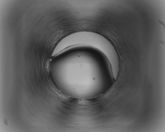 X0000099930336200806061500