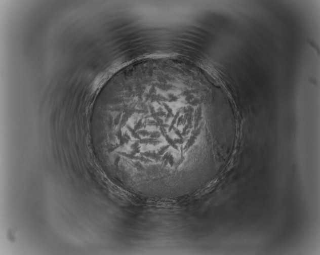 X0000099930337200806061459