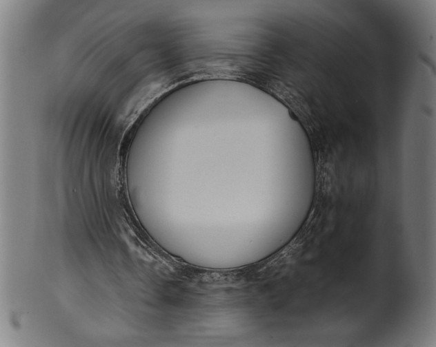 X0000099930338200806061459