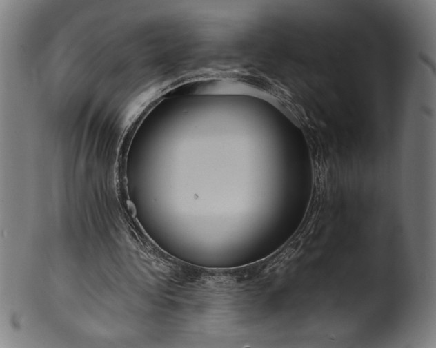 X0000099930340200806061459