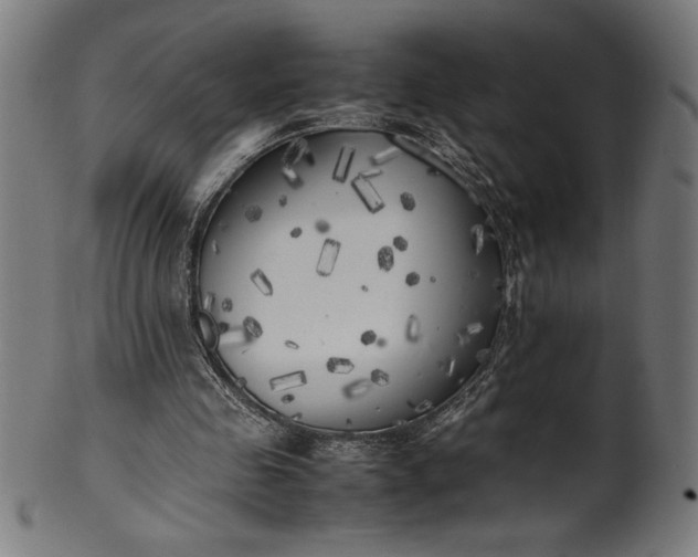 X0000099930341200806061459