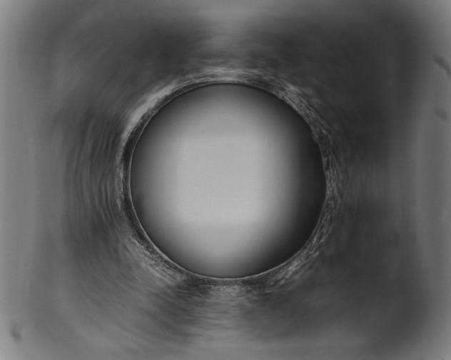 X0000099930342200806061459