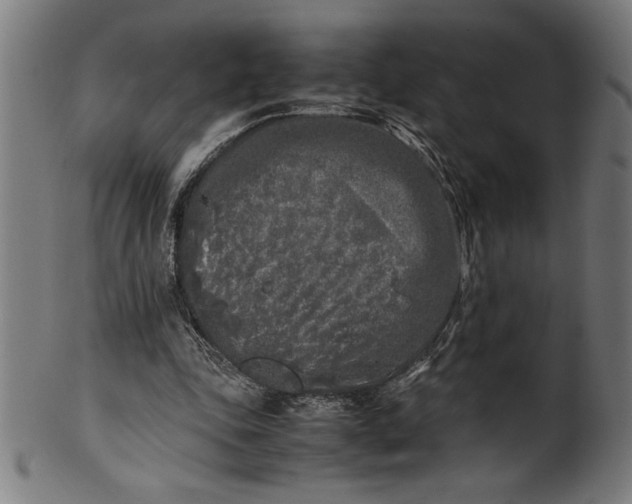 X0000099930343200806061459