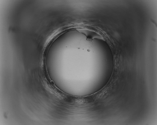 X0000099930344200806061459