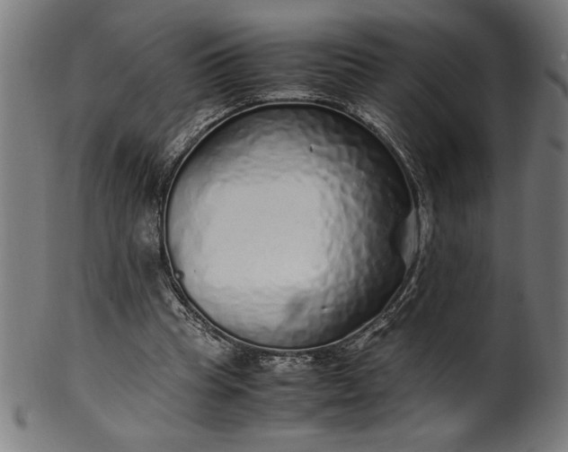 X0000099930345200806061459