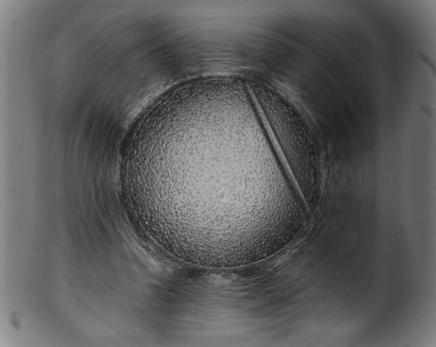 X0000099930346200806061459