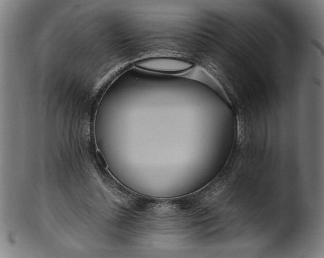 X0000099930348200806061459