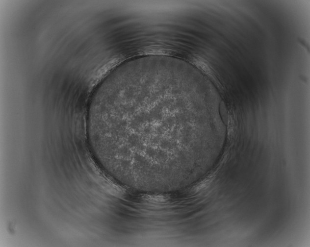 X0000099930349200806061459