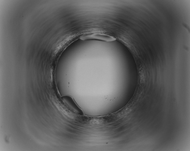 X0000099930350200806061459