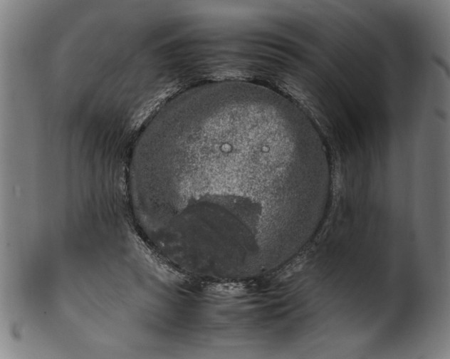 X0000099930353200806061459