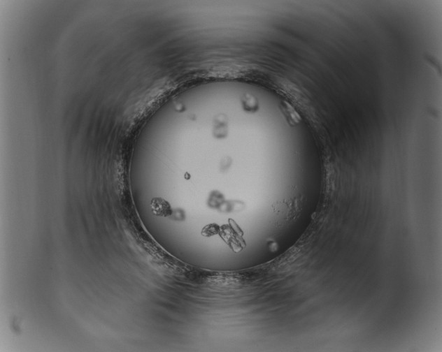 X0000099930354200806061459