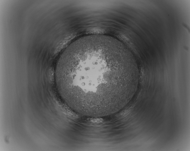 X0000099930355200806061459