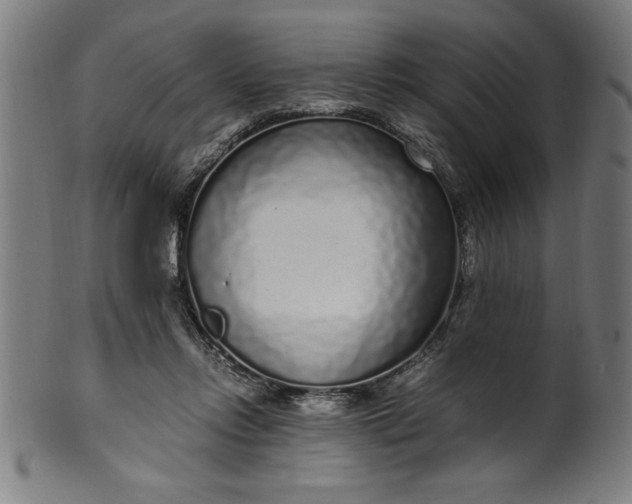 X0000099930358200806061459