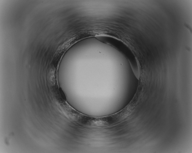 X0000099930360200806061459