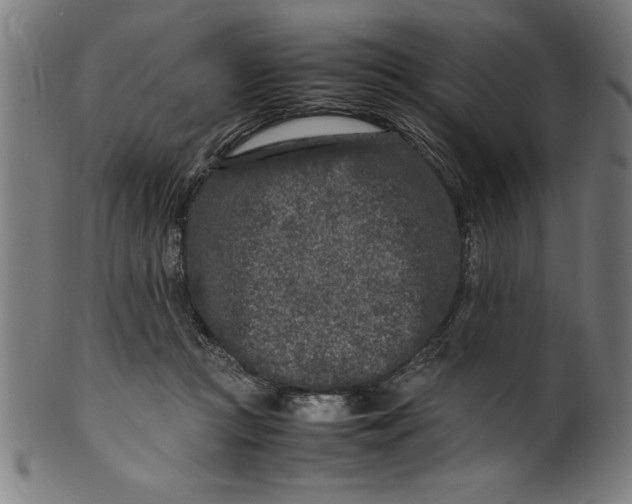 X0000099930361200806061459