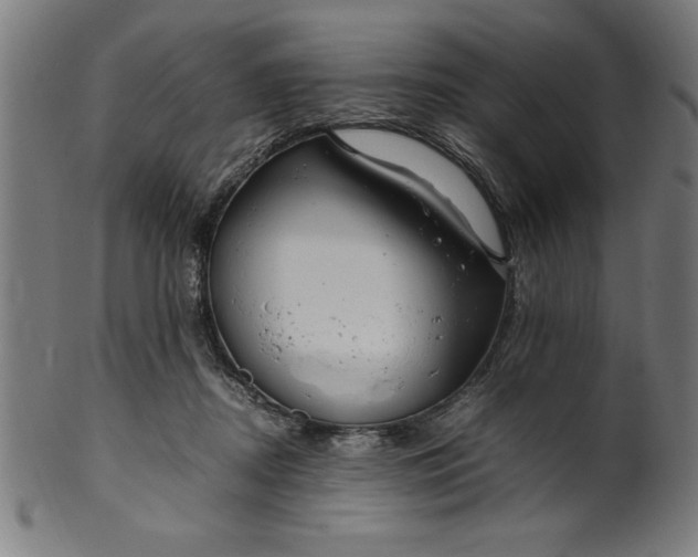 X0000099930362200806061500