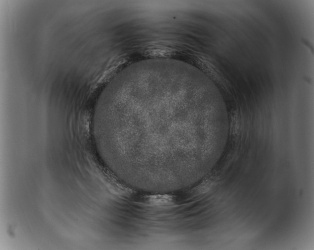 X0000099930363200806061500