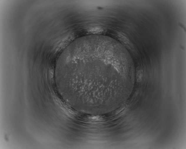 X0000099930365200806061500