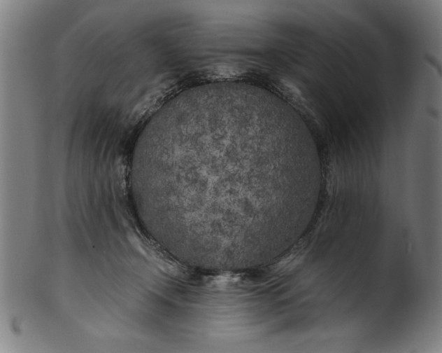 X0000099930366200806061500