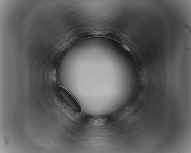 X0000099930368200806061500