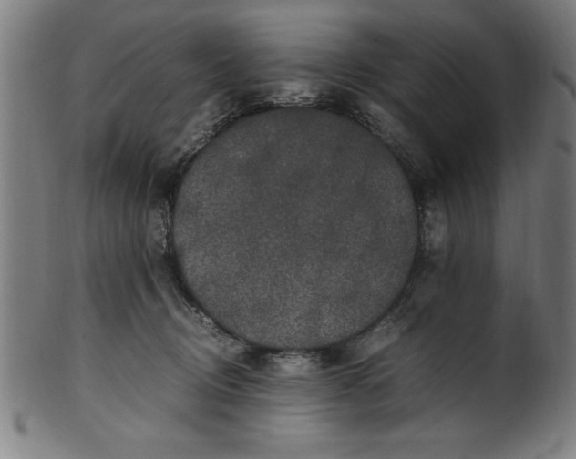 X0000099930370200806061500